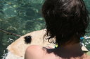 gal/cro 08/_thb_small-IMG_5280.JPG